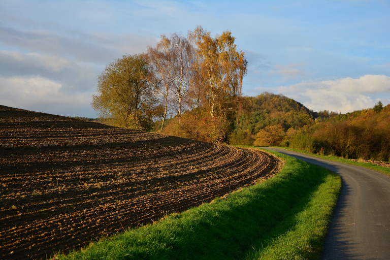 Lifescientific - L’automne arrive et ses ravageurs aussi!