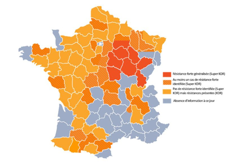 Lifescientific - Quel insecticide choisir en cas de risque avéré et lorsqu’une intervention est nécessaire ?